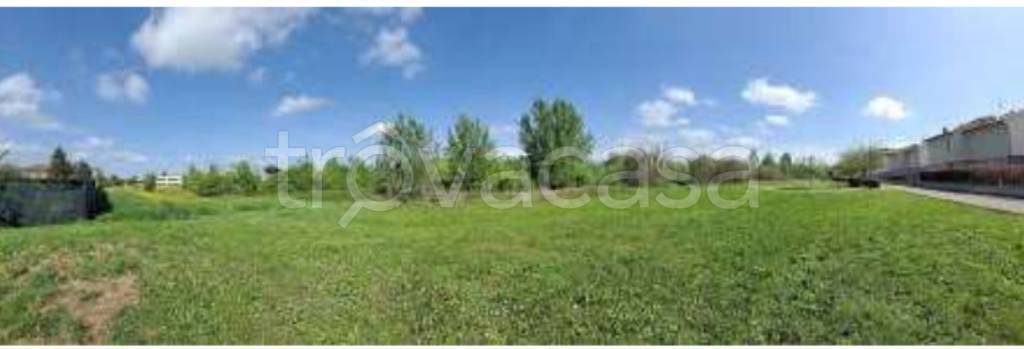 immagine annuncio 8 di 11