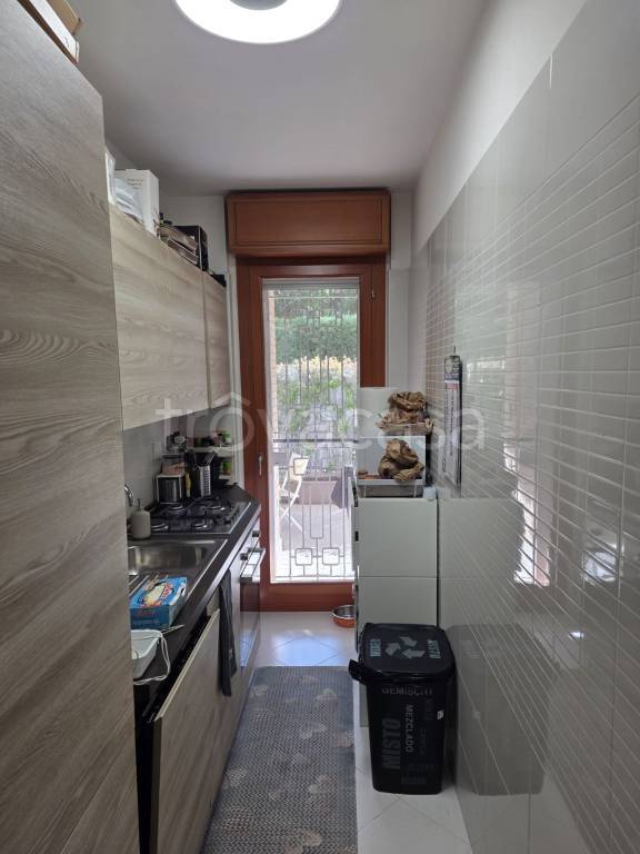 immagine annuncio 5 di 12