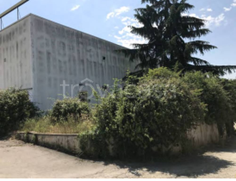 immagine annuncio 6 di 11