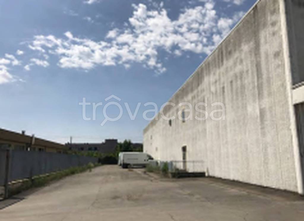 immagine annuncio 8 di 11