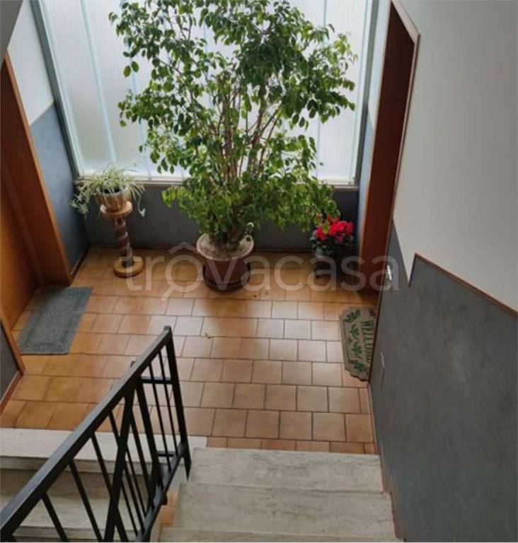 immagine annuncio 5 di 14