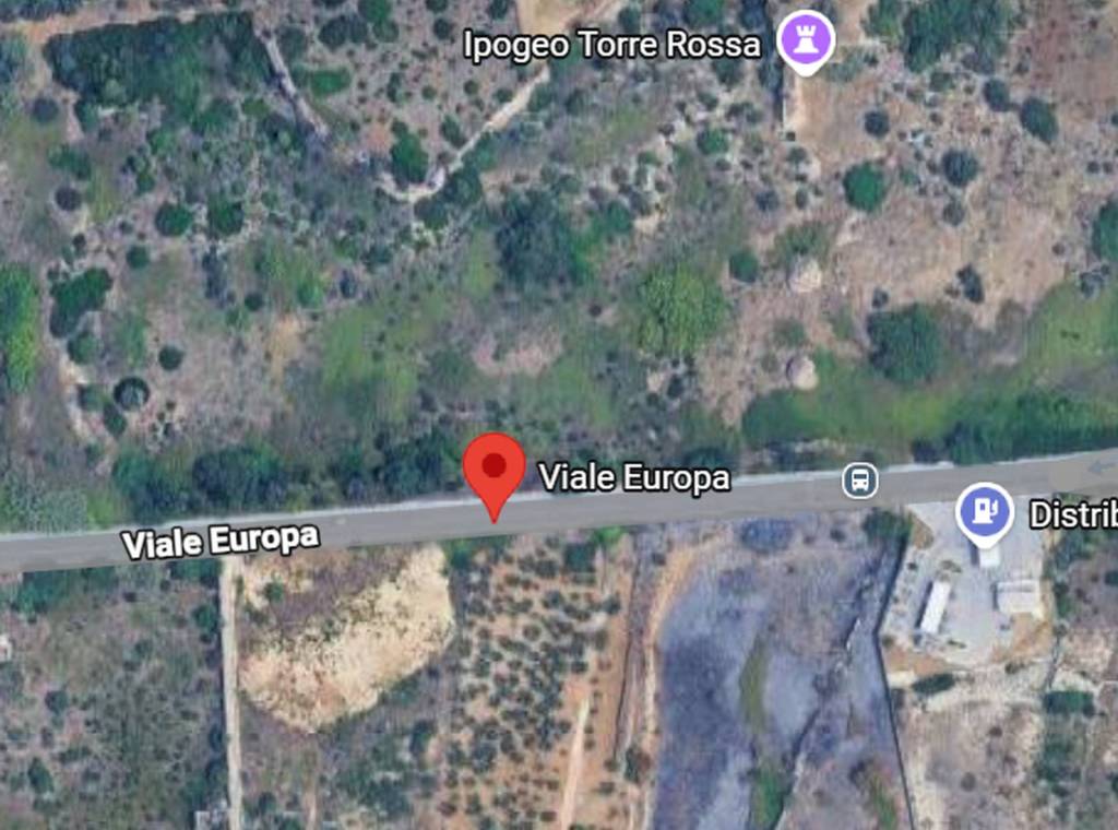 immagine annuncio 4 di 11