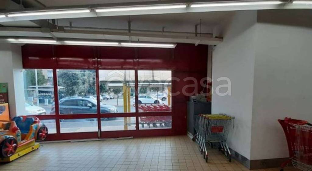 immagine annuncio 6 di 11