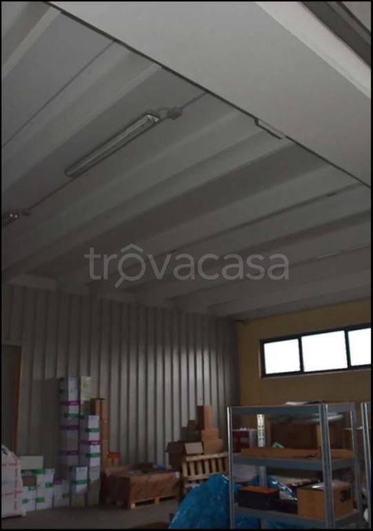 immagine annuncio 6 di 11
