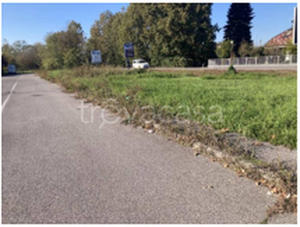 immagine annuncio 6 di 11