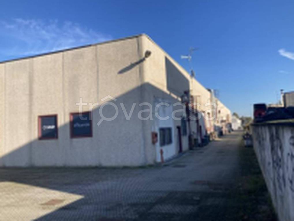 immagine annuncio 10 di 11