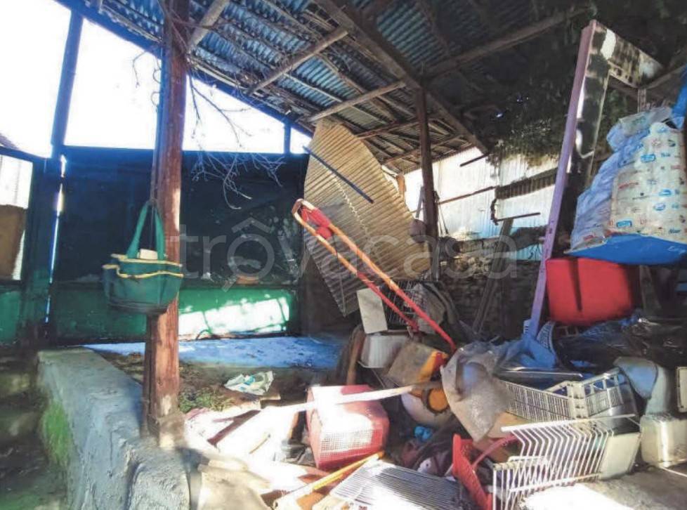 immagine annuncio 3 di 11