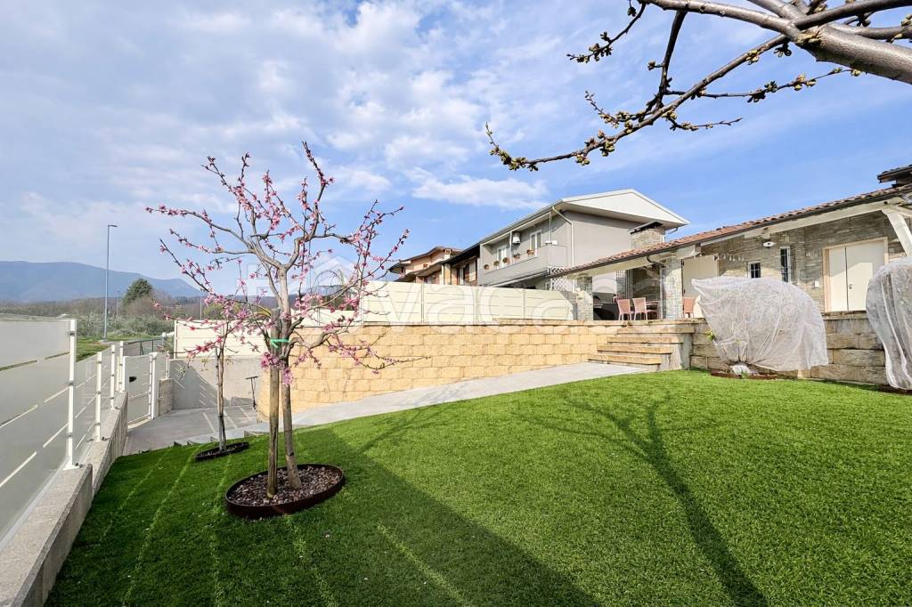 immagine annuncio 10 di 13