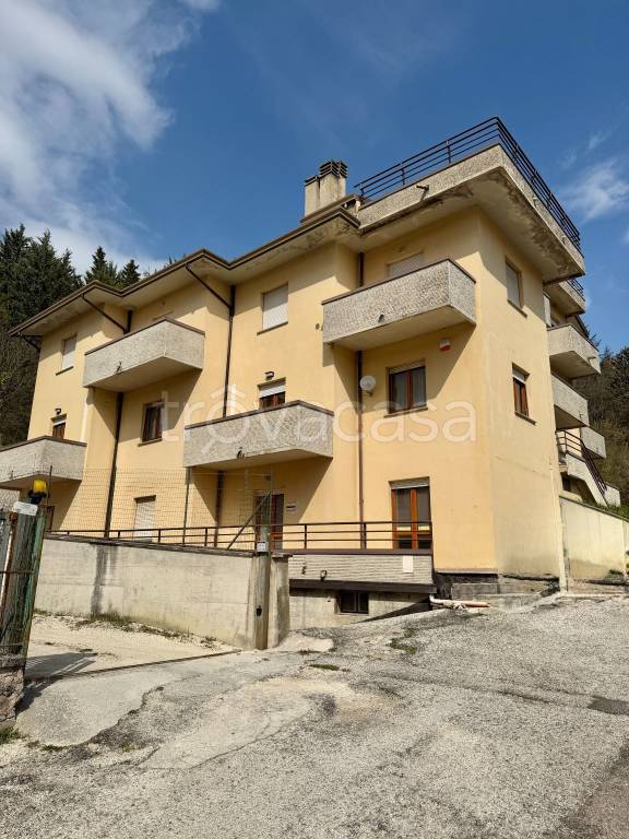 immagine annuncio 11 di 14