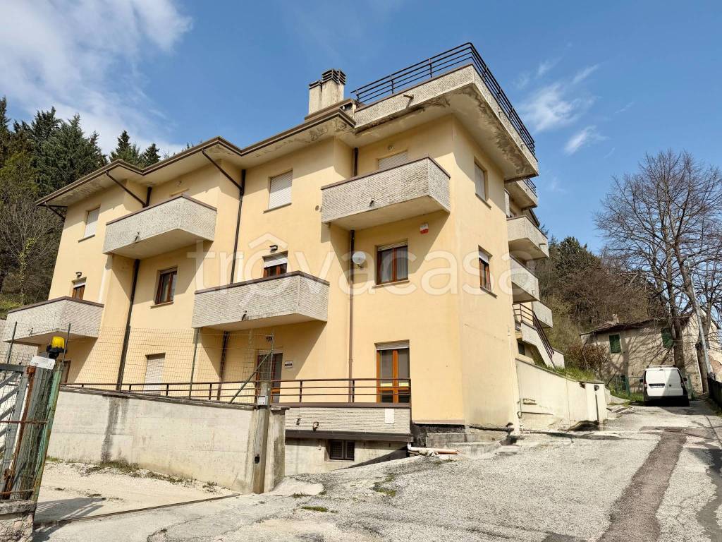 immagine annuncio 12 di 14