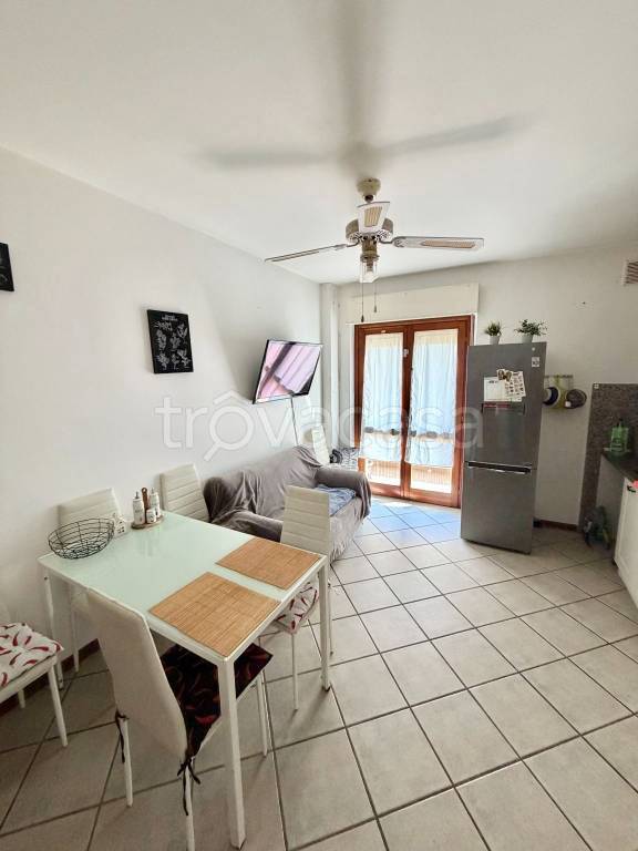 immagine annuncio 1 di 14