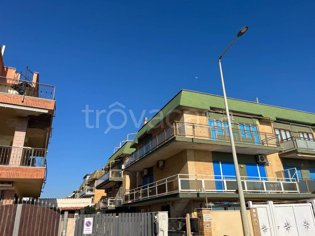 immagine annuncio 1 di 14