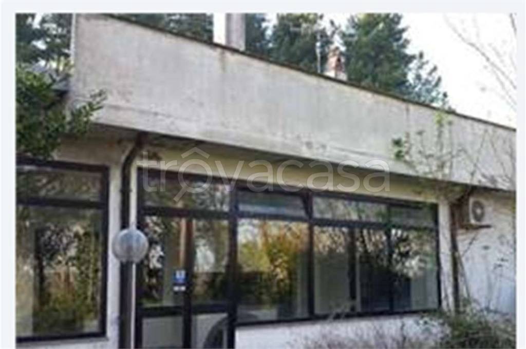 immagine annuncio 4 di 7