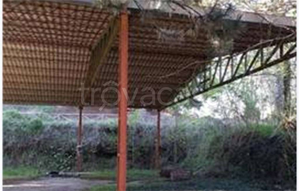 immagine annuncio 5 di 7