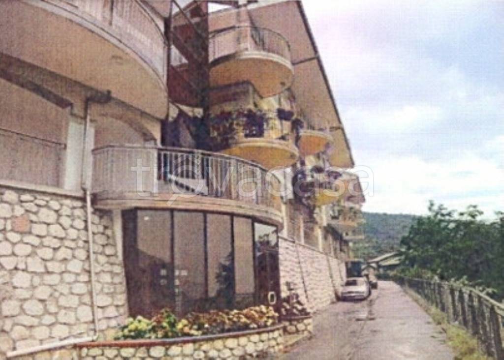 immagine annuncio 3 di 12