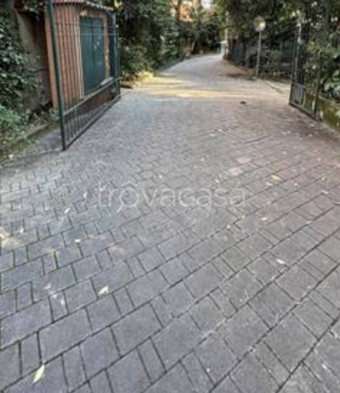 immagine annuncio 5 di 12