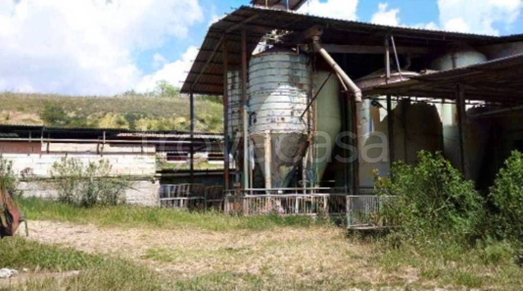 immagine annuncio 3 di 9