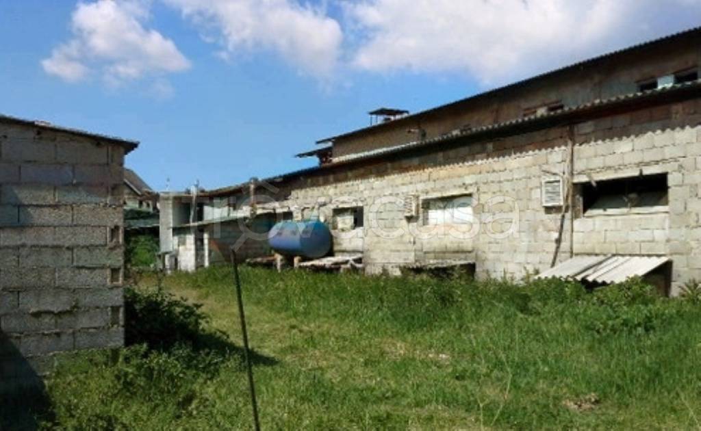 immagine annuncio 4 di 9