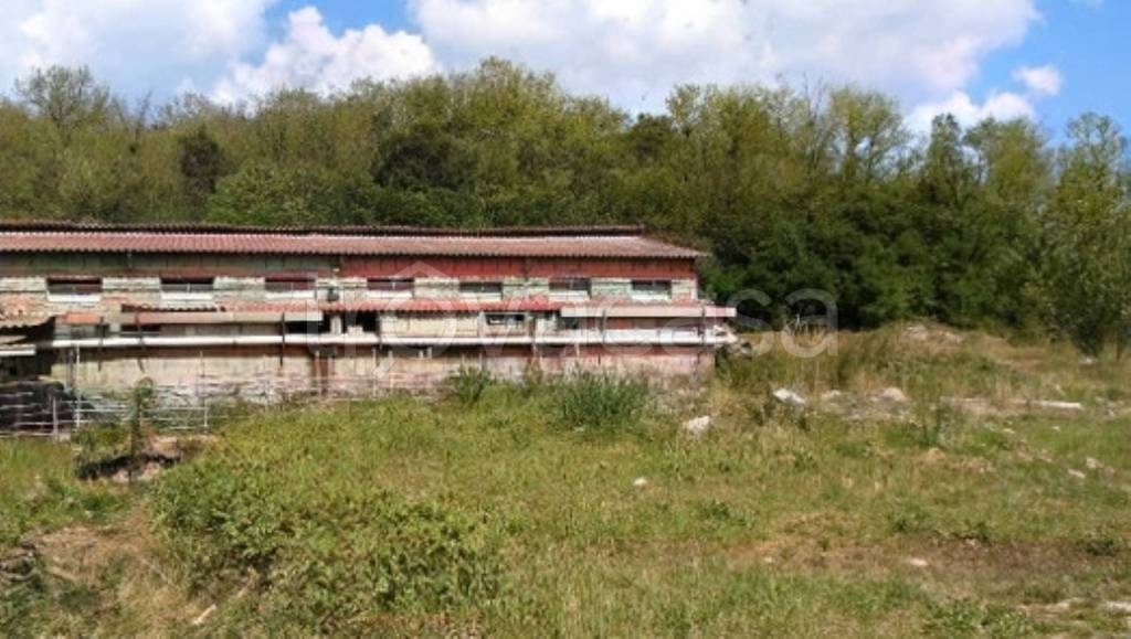 immagine annuncio 5 di 9