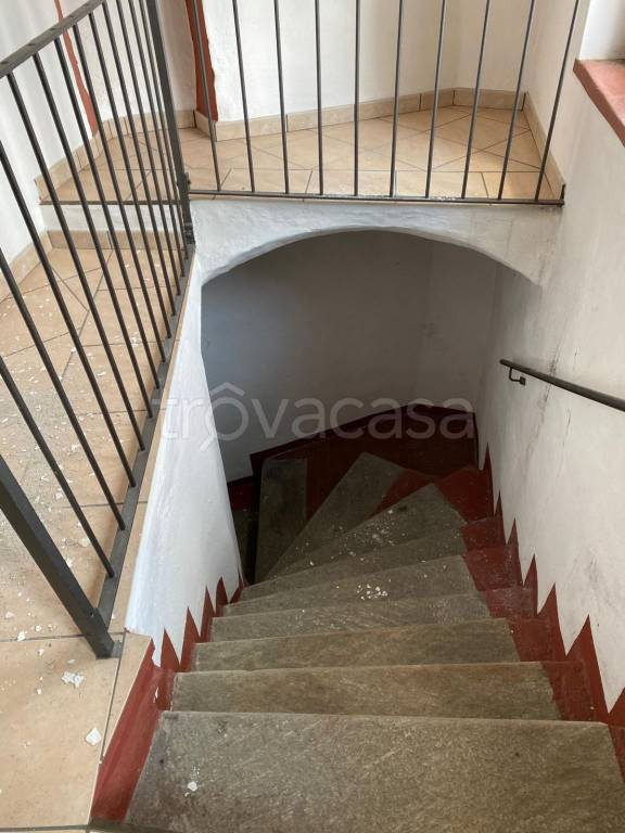 immagine annuncio 7 di 14