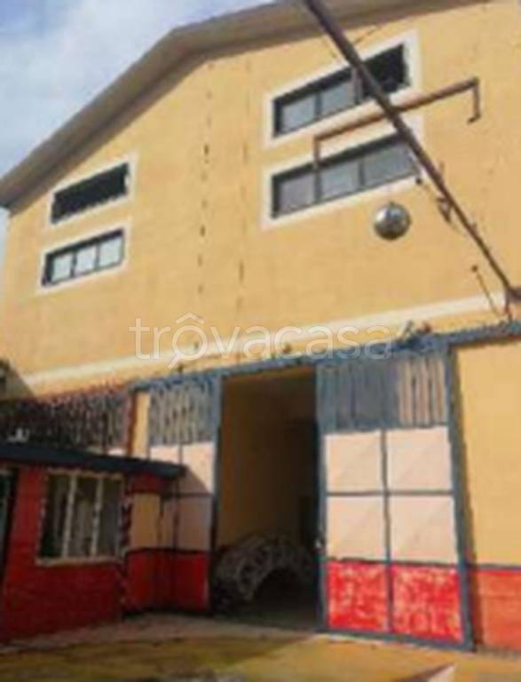 immagine annuncio 9 di 11