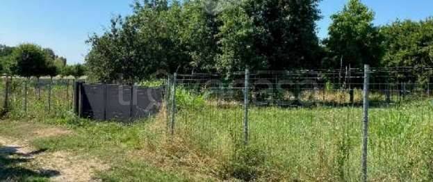 immagine annuncio 1 di 13