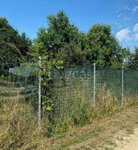 immagine annuncio 2 di 13