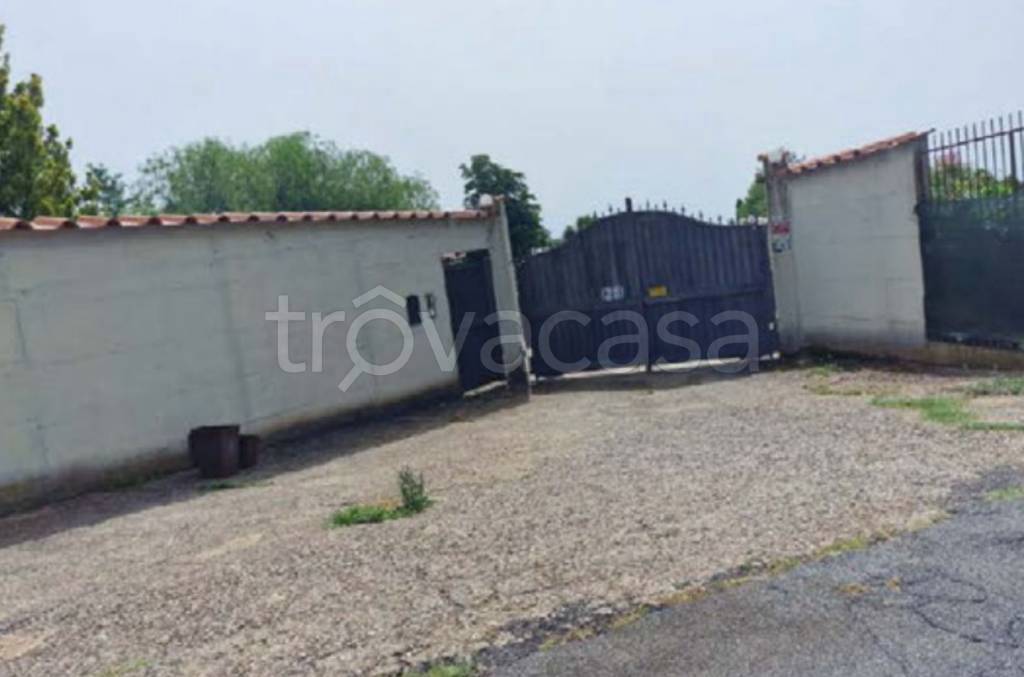 immagine annuncio 2 di 13