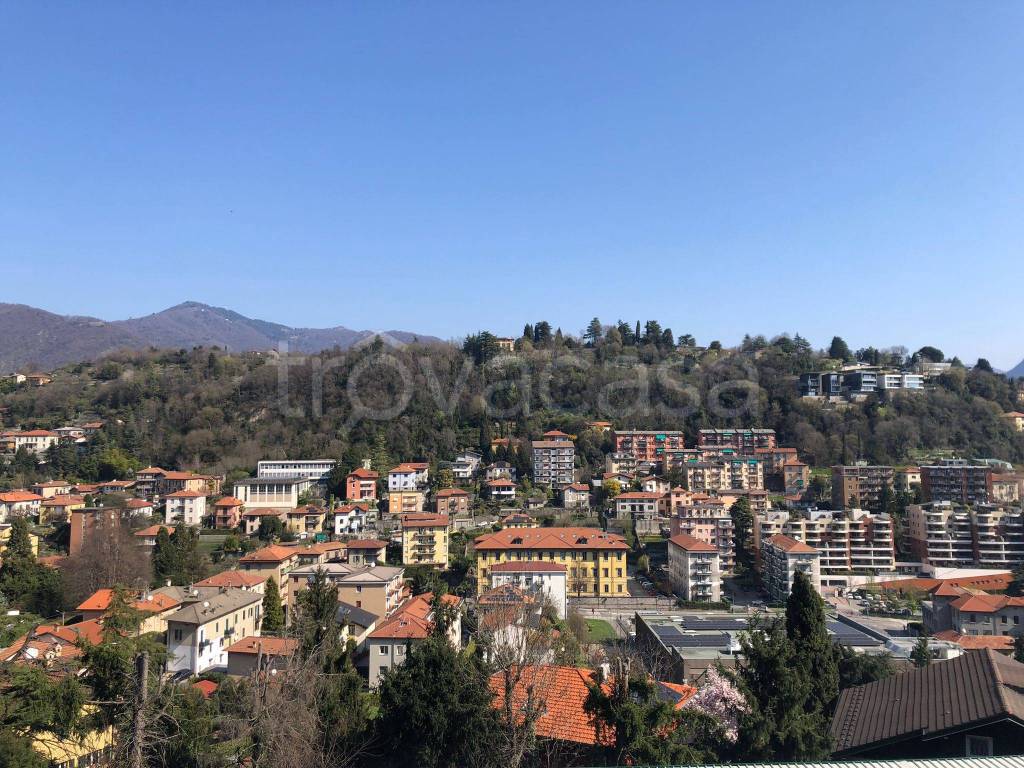 immagine annuncio 11 di 14