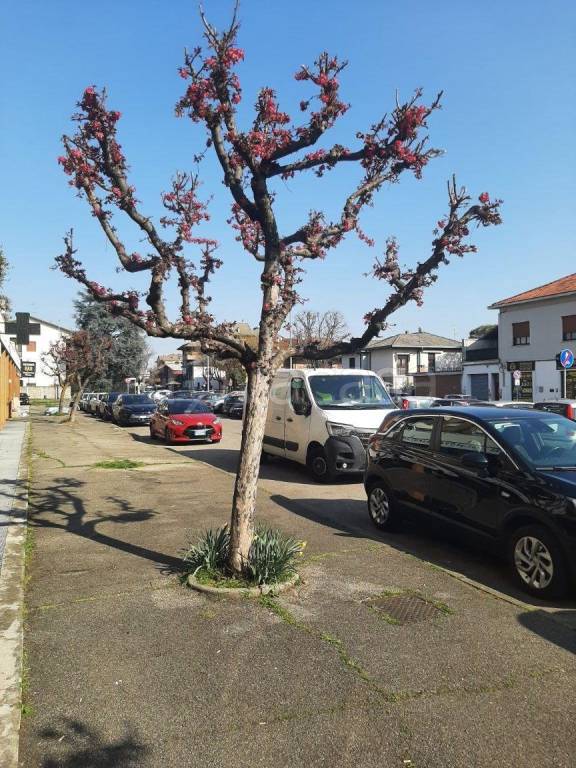 immagine annuncio 3 di 14