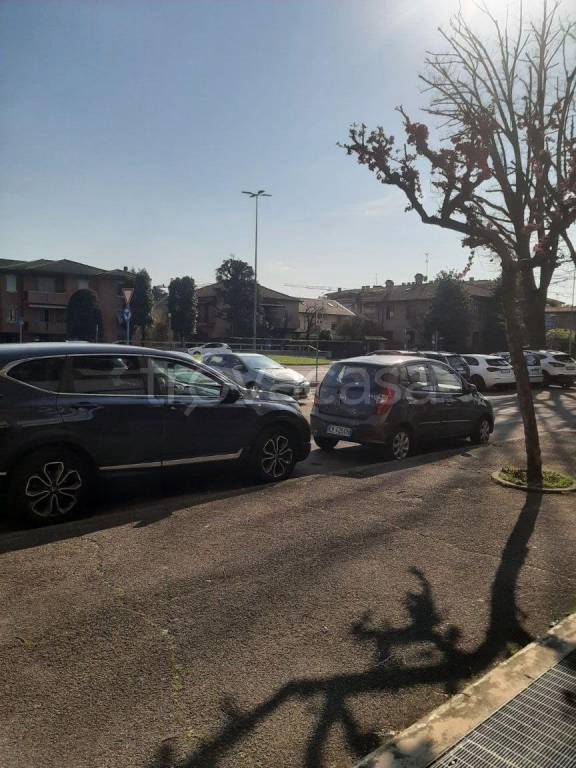 immagine annuncio 4 di 14