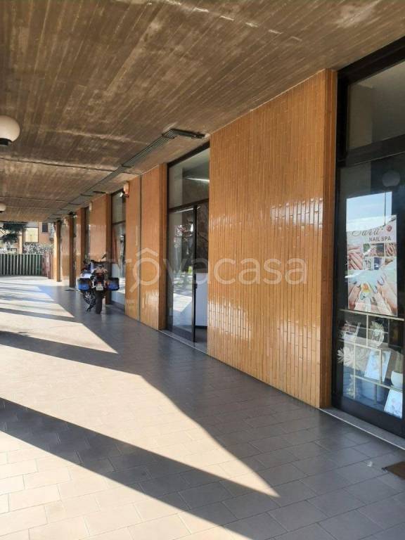 immagine annuncio 5 di 14