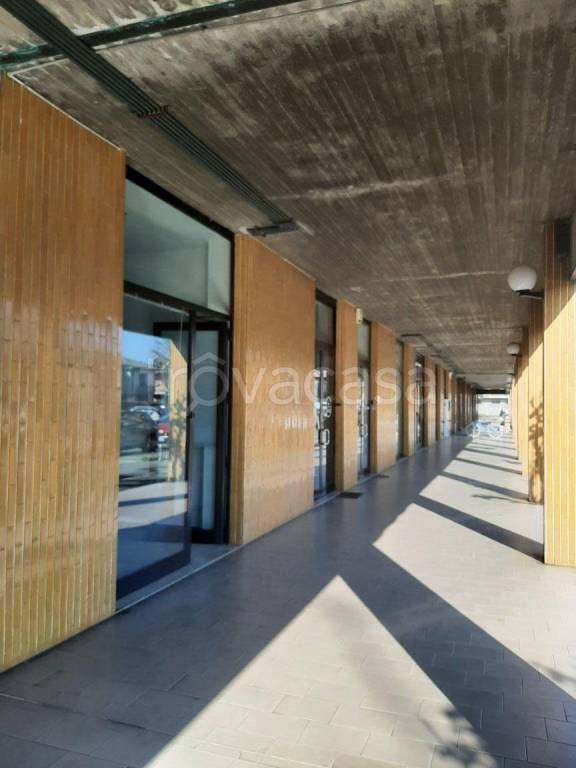 immagine annuncio 6 di 14