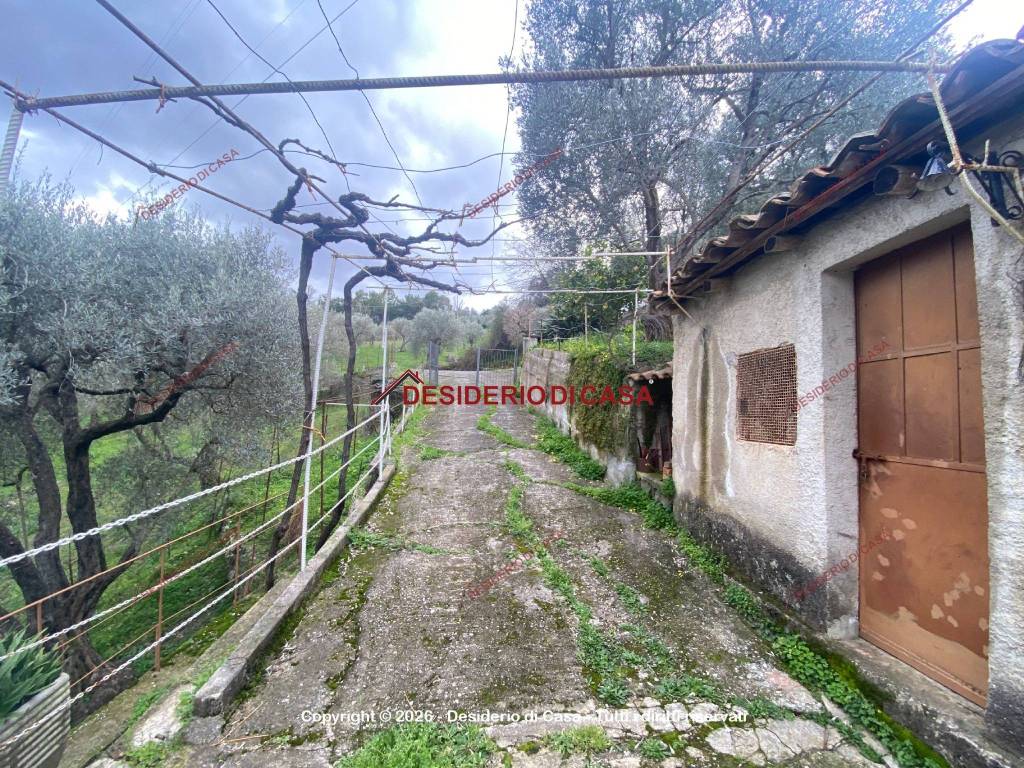 immagine annuncio 13 di 14