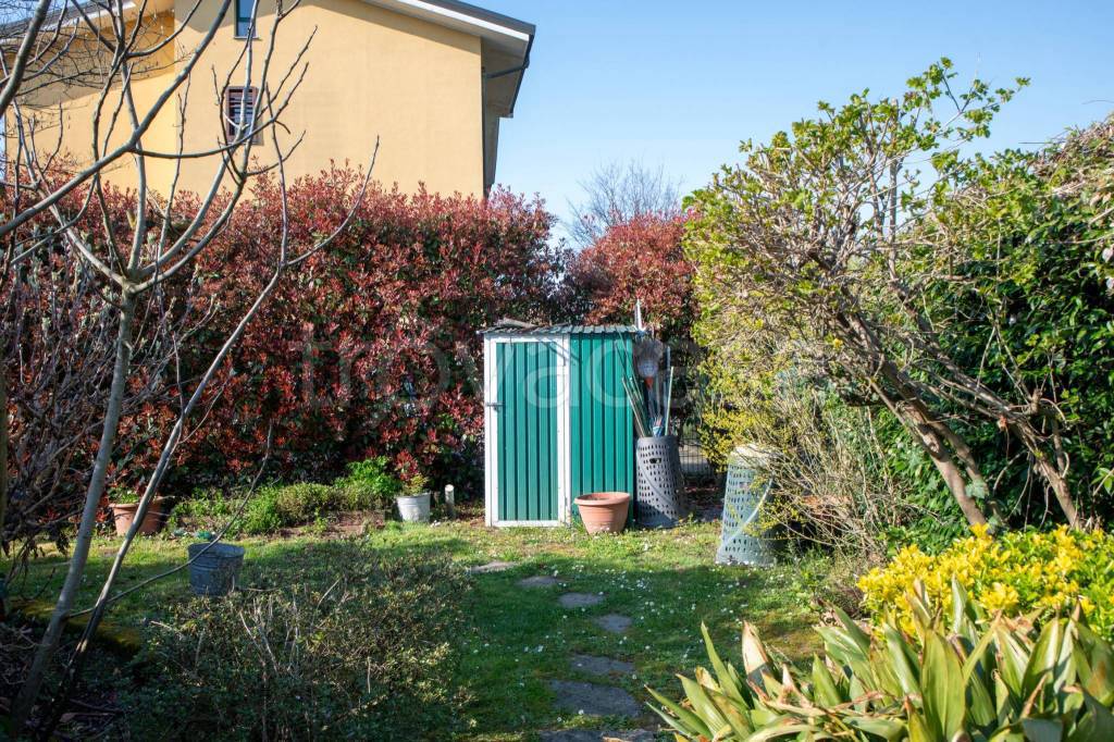 immagine annuncio 9 di 15