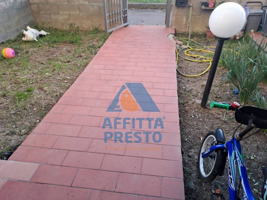 immagine annuncio 5 di 14