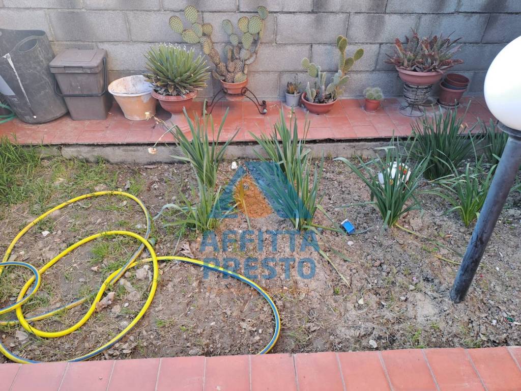 immagine annuncio 12 di 14