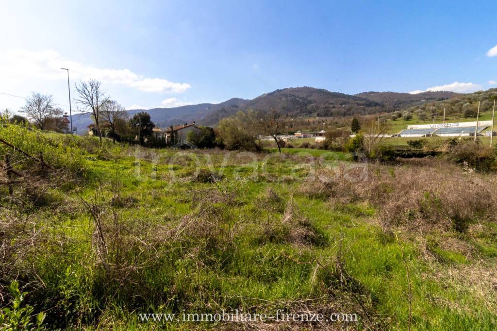 immagine annuncio 7 di 14