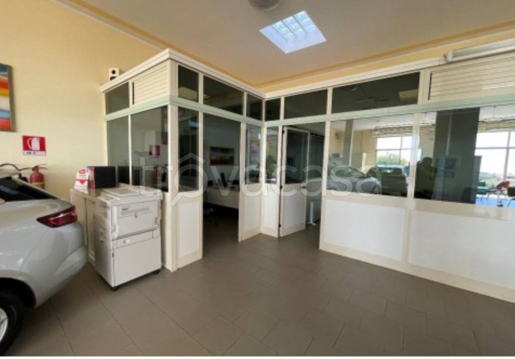 immagine annuncio 2 di 11