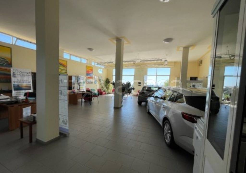 immagine annuncio 3 di 11