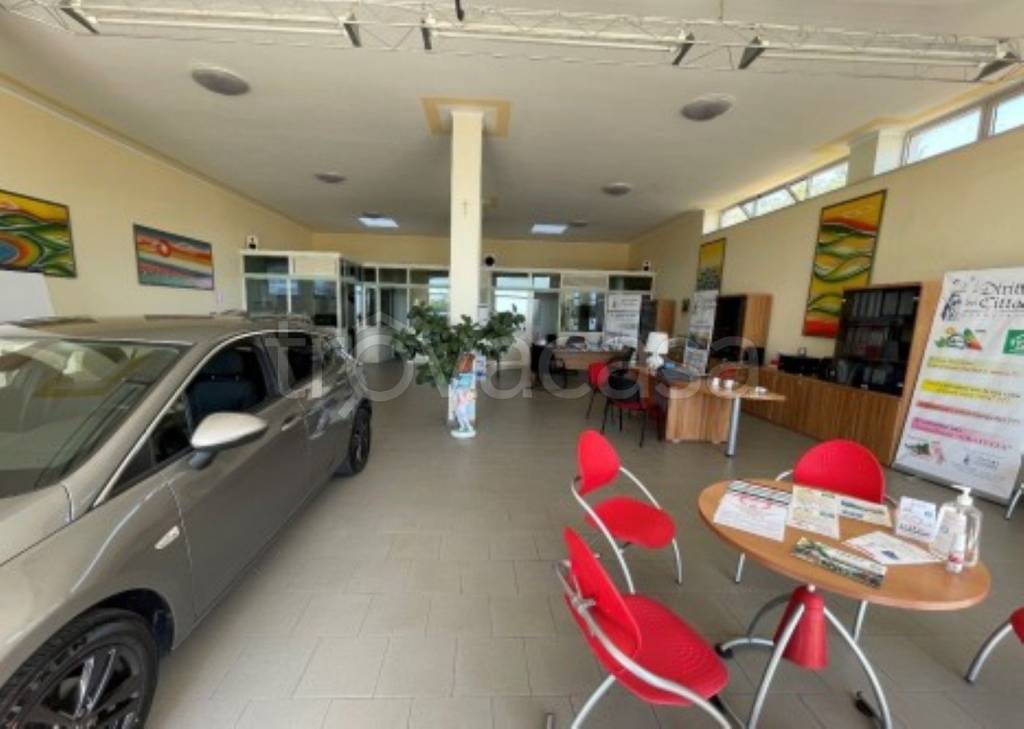 immagine annuncio 4 di 11