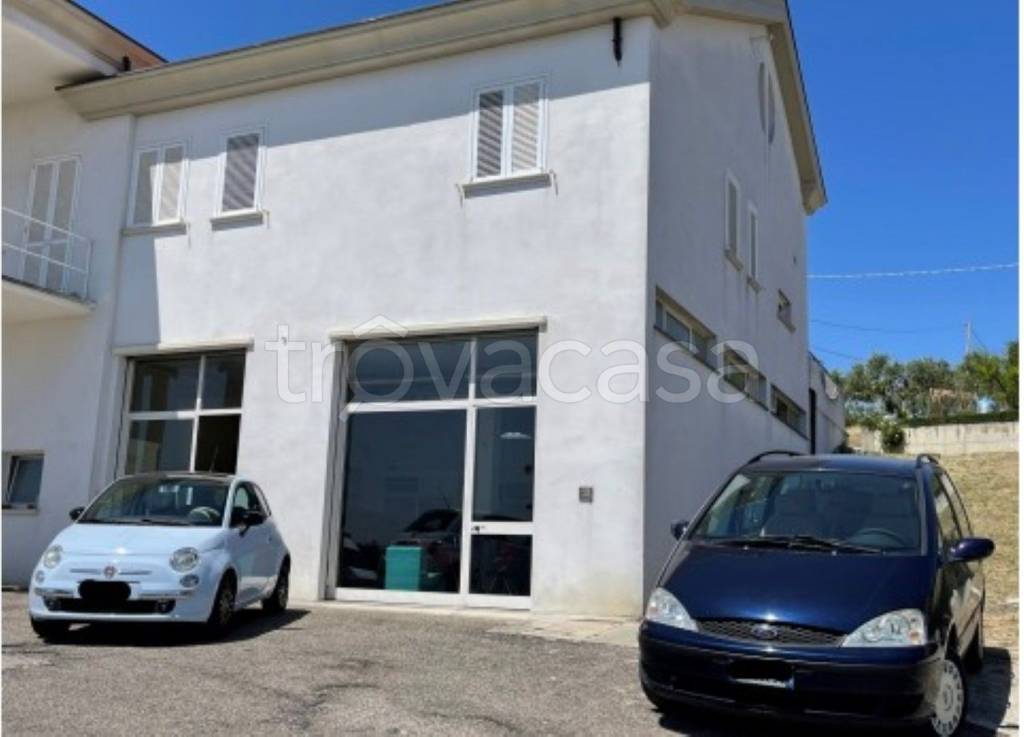 immagine annuncio 5 di 11