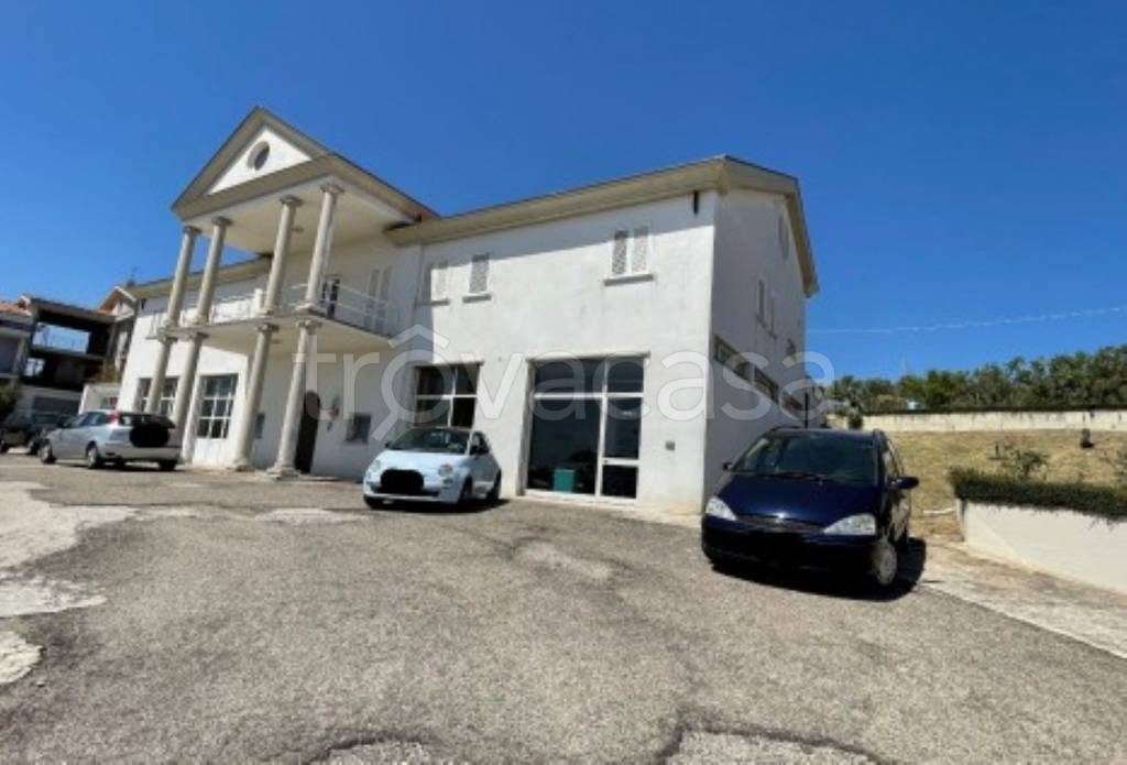 immagine annuncio 6 di 11