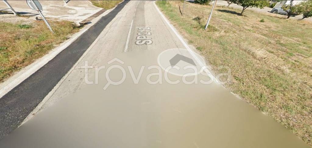 immagine annuncio 7 di 11