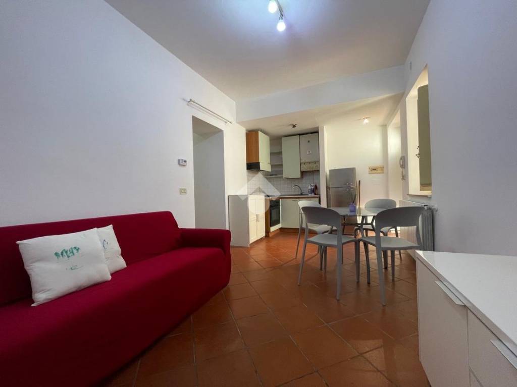 immagine annuncio 5 di 14