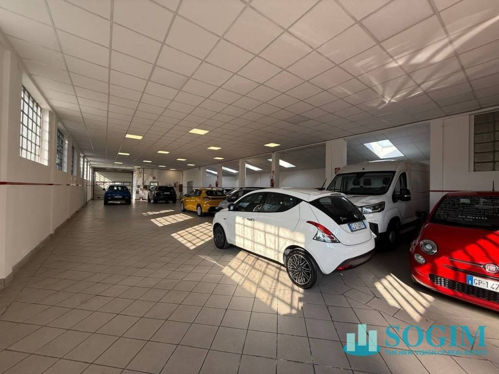 immagine annuncio 9 di 15