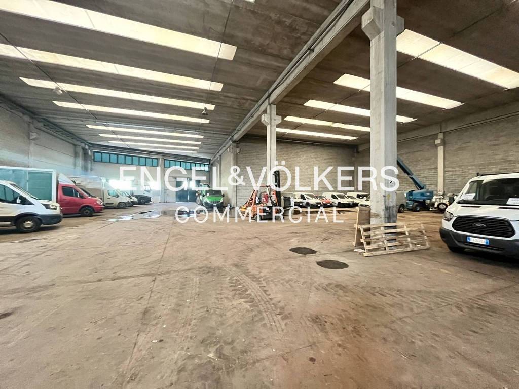 immagine annuncio 5 di 15