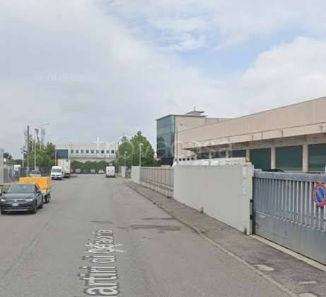 immagine annuncio 4 di 7