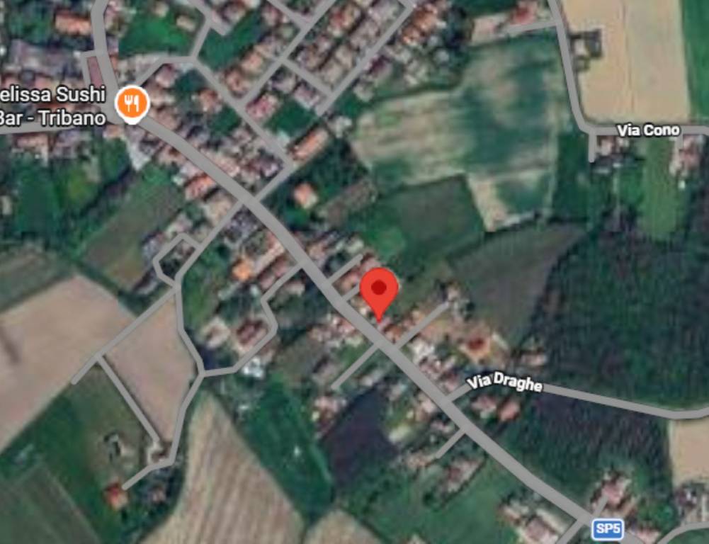 immagine annuncio 5 di 11