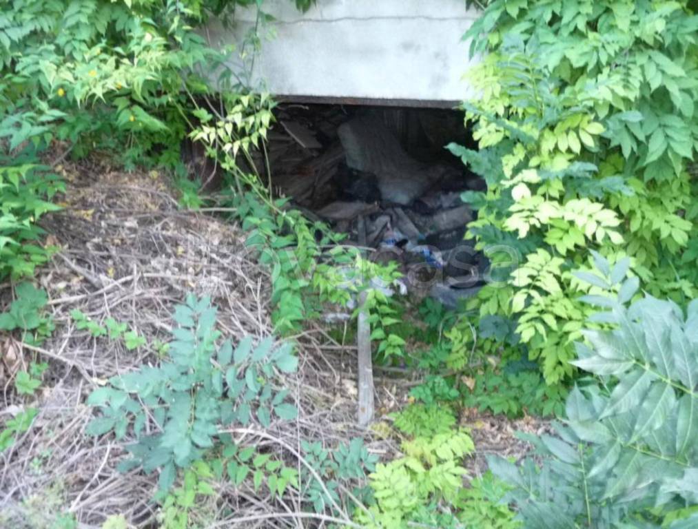 immagine annuncio 8 di 12